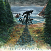 Titvn: The Death Experience