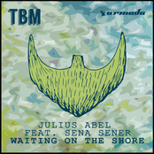 Waiting On The Shore (feat. Sena Sener)