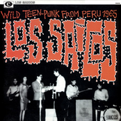 WildTeen Punk From Perú