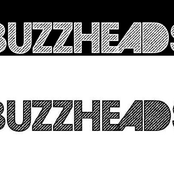 buzzheads