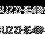 Buzzheads