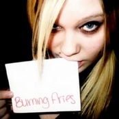 Kitten's Scissor Party