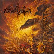 Істина Artwork