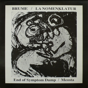 End Of Symptom Dump / Meosta