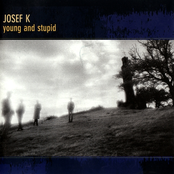 Sorry For Laughing by Josef K