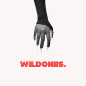 WildOnes