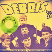 Debris Vol. 22 (Uncomped Sixties Garage 'N' Psychedelic Rarities!)