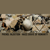 Mass Grave Of Humanity