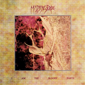 Transcending (into The Exquisite) by My Dying Bride