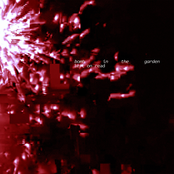 Left On Read: bomb in the garden