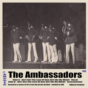 the ambassadors