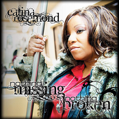 Nothing Missing, Nothing Broken