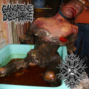 Gangrene Discharge / Leucodistrofia