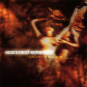 Indulgence In Masochism (Compilation)