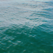 - The day -