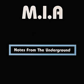 Notes From The Underground