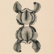 Ambitions of the Son - EP