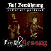 Pogo & Gesang