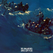 Radio by The Avalanches