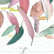 Choro Negro - Cristovão Bastos e Mauro Senise Tocam Paulinho da Viola
