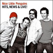 Daydream Believer by Nice Little Penguins