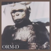 Humanzee