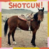 Shotgun