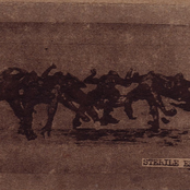 Sterile Environment demo 2010