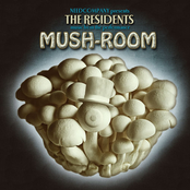 Sticks And Logs by The Residents