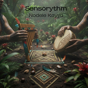 Nodele Kayya