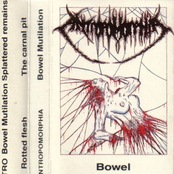 Bowel Mutilation