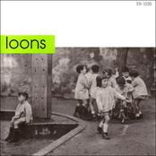 Consolation by Loons