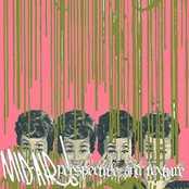 Perspective and Texture