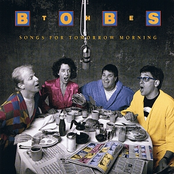 the best of the bobs: 20 songs, 20 years