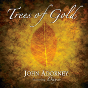 The Swing by John Adorney