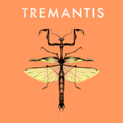 Tremantis 3