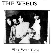 the weeds