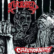 Carnivoracity by Avulsed