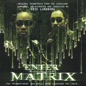 Enter the Matrix: Original Soundtrack from the Videogame