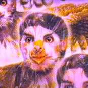 I'm a Lover, I'm a Fighter, I'm a Hawk