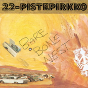 Fly On by 22-pistepirkko