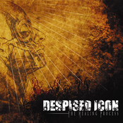 Despised Icon: The Healing Process