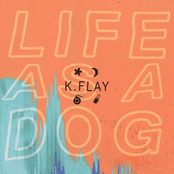 K. Flay: Life as a Dog
