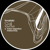 Insect Digestion Melancholy