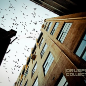 Drumfunk Collection 6