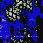 Snow Field Recyclings