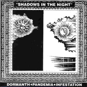 Shadows in the Night