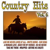Country Hits Vol.6