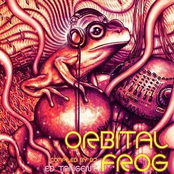 Orbital Frog