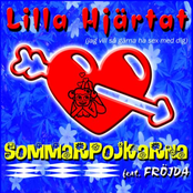 sommarpojkarna feat. fröjda